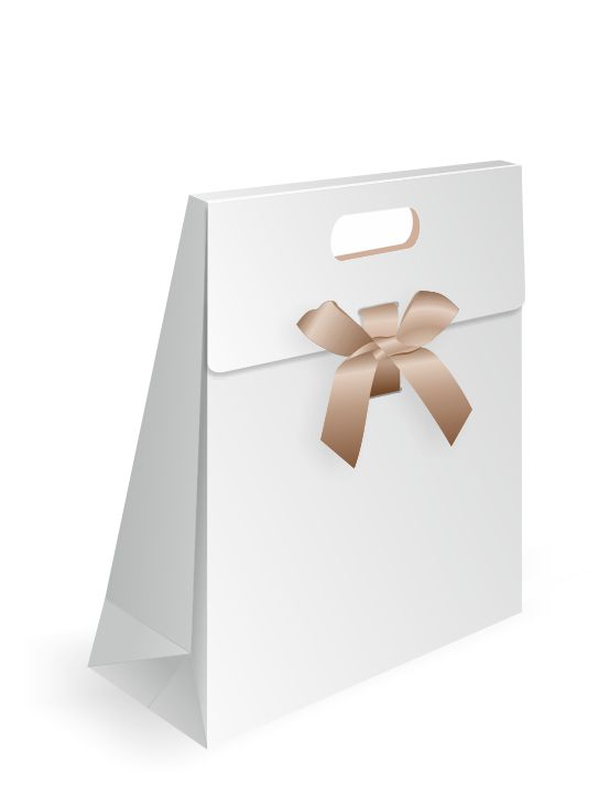 bold flap paper bag design