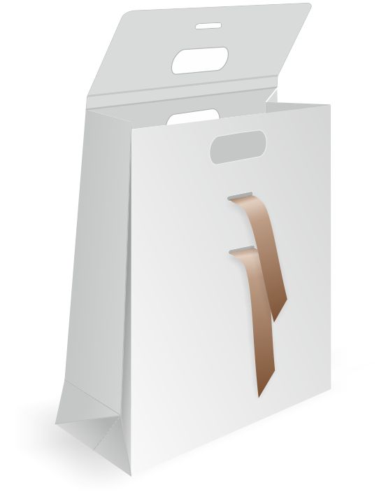 bold flap paper bag design