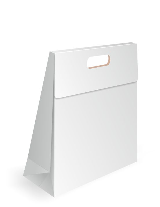 bold flap paper bag design