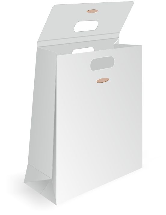 bold flap paper bag design