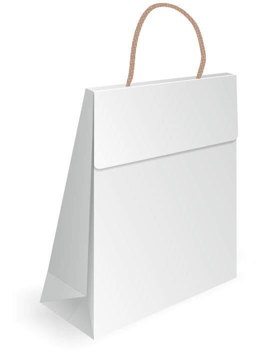 bold flap paper bag design