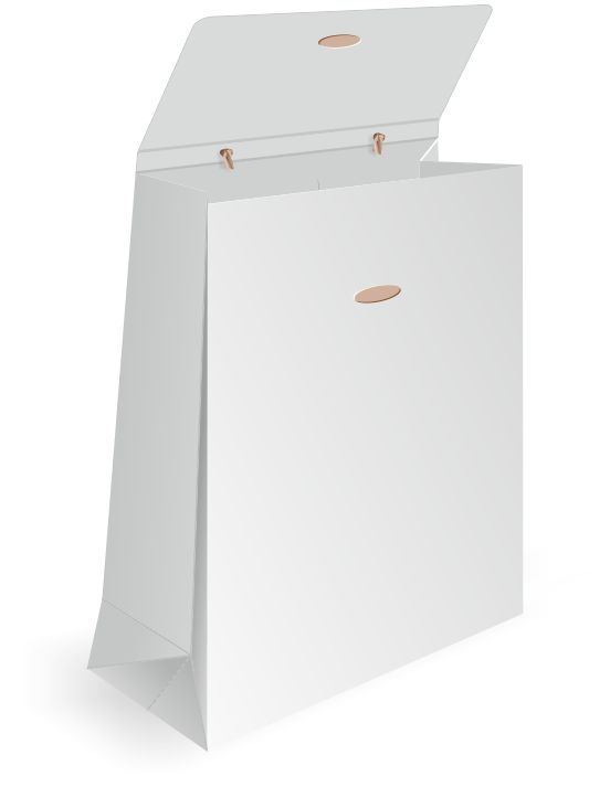 bold flap paper bag design