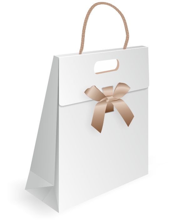 bold flap paper bag design