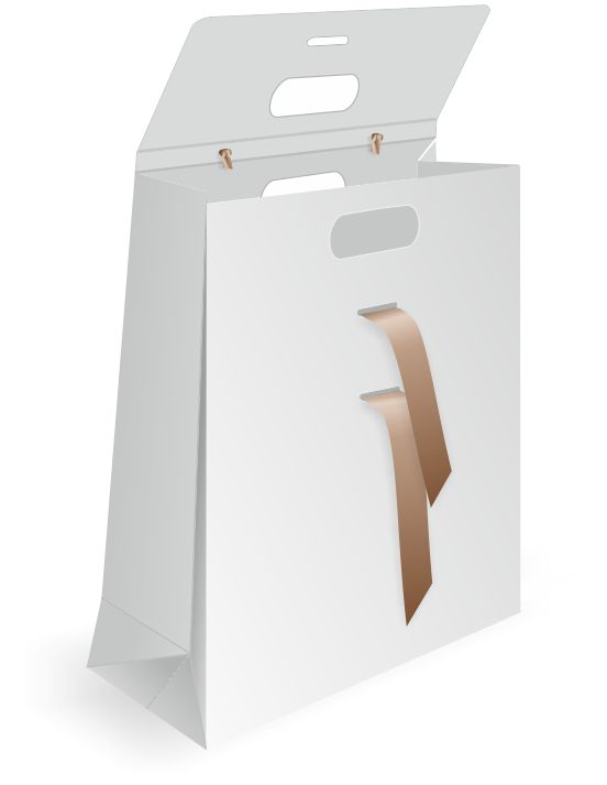 bold flap paper bag design