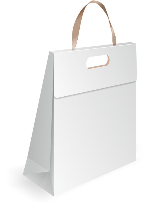 bold flap paper bag design