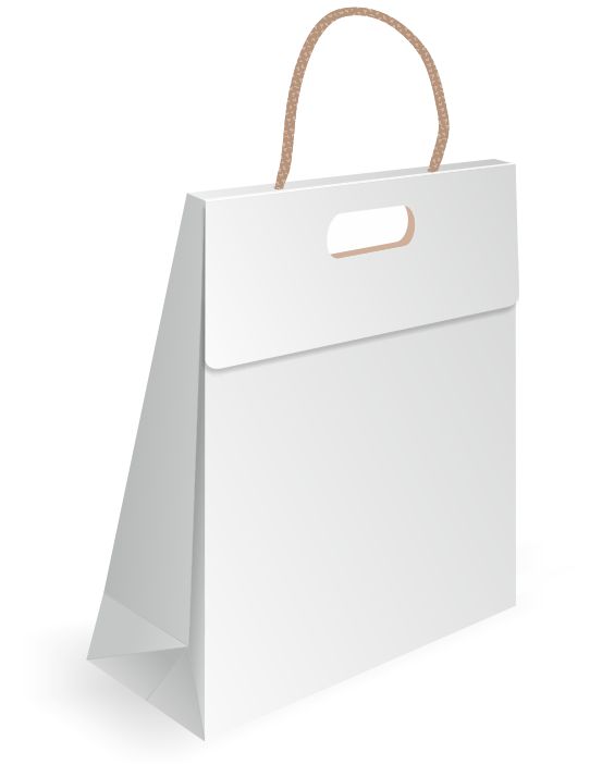 bold flap paper bag design