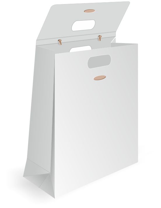 bold flap paper bag design