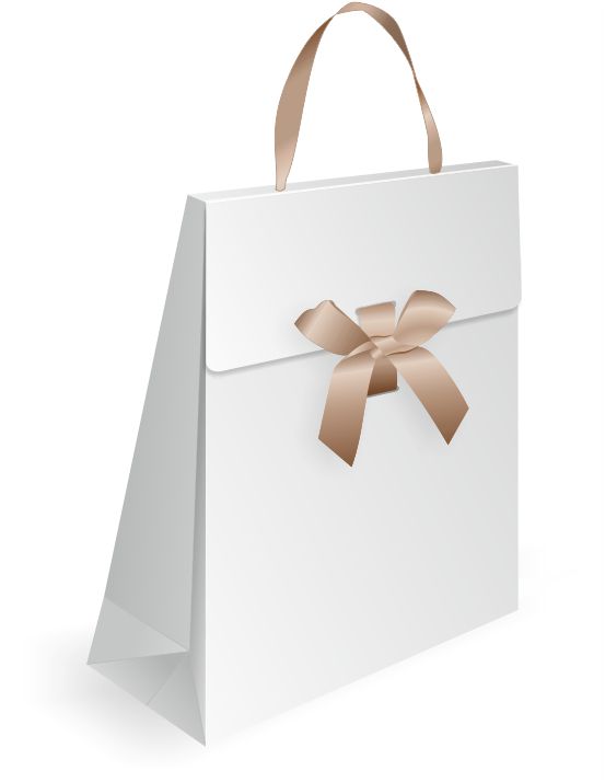 bold flap paper bag design