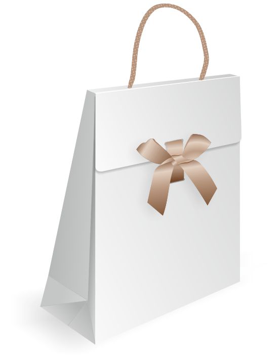 bold flap paper bag design