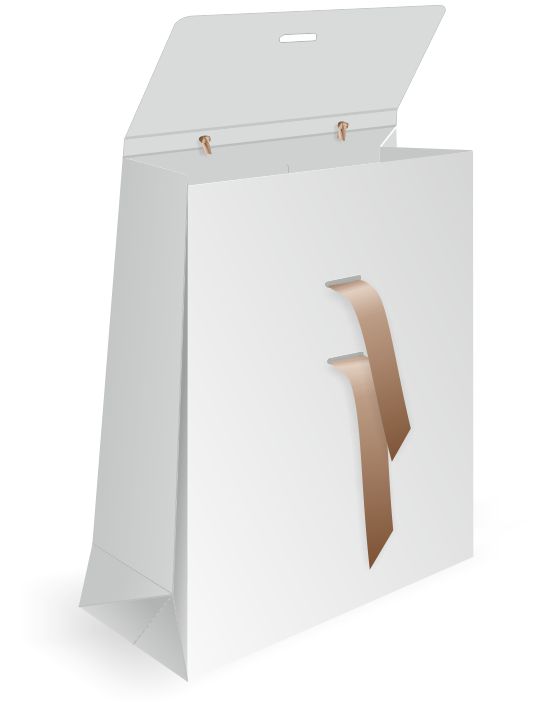 bold flap paper bag design