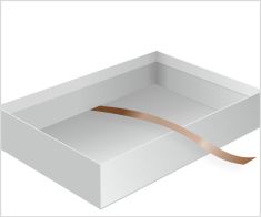 Ribbon-Lift-Rigid-Tray-3 Ribbon-Lift-Rigid-Tray-3